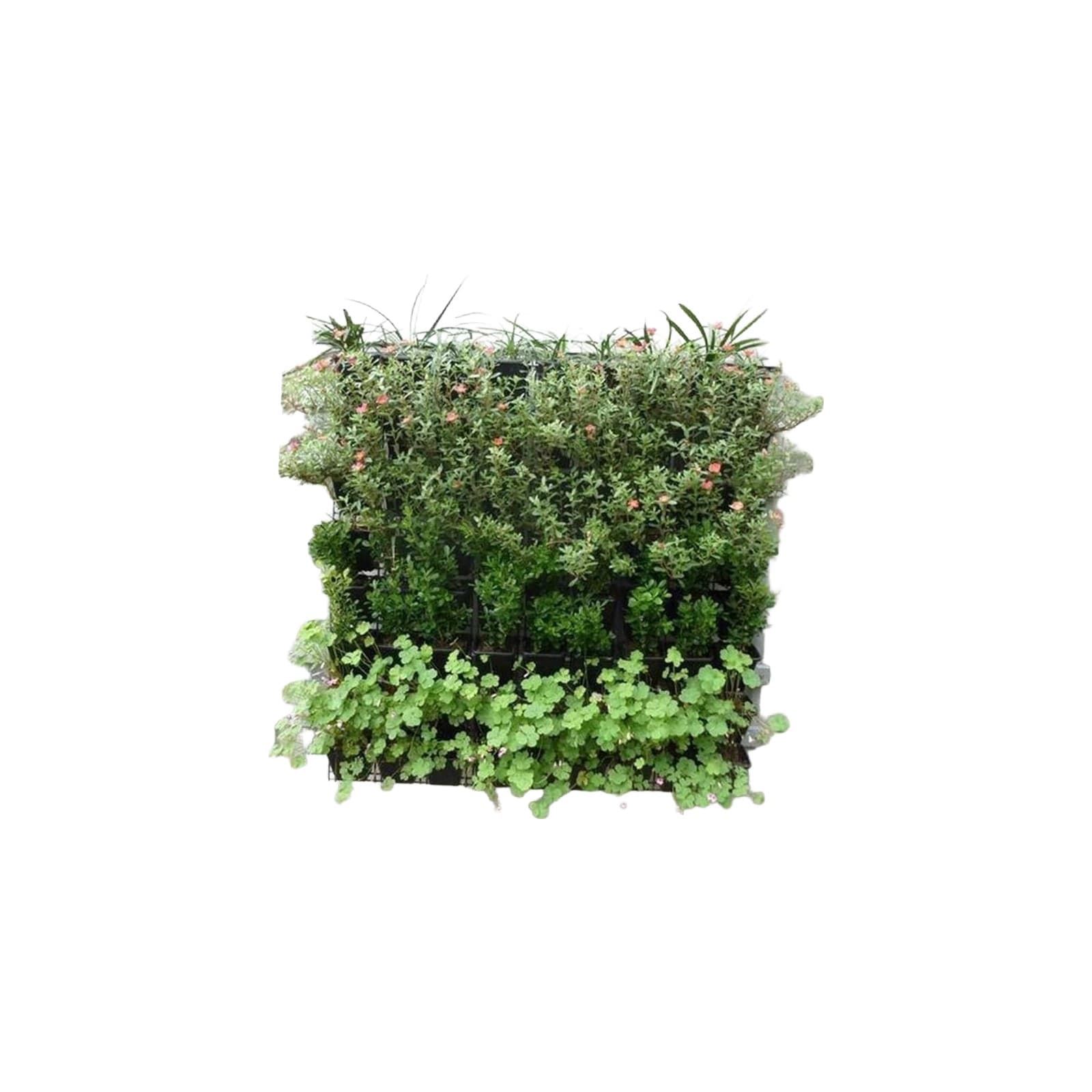Felt Wall Garden — 24 Pockets