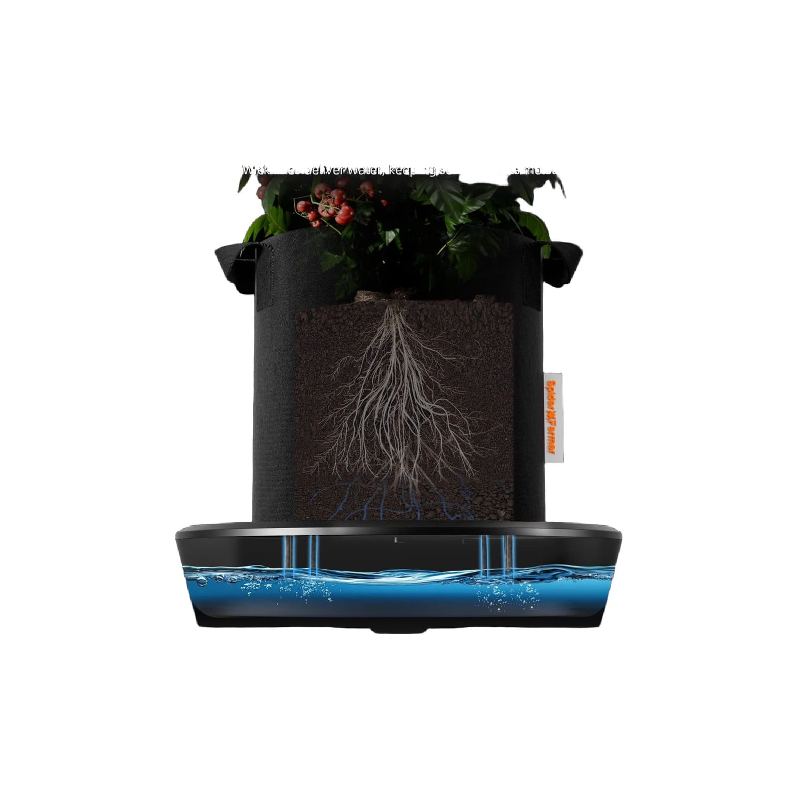 PodWall Self-Watering Wall Planters (6-Pack) — product photo 1