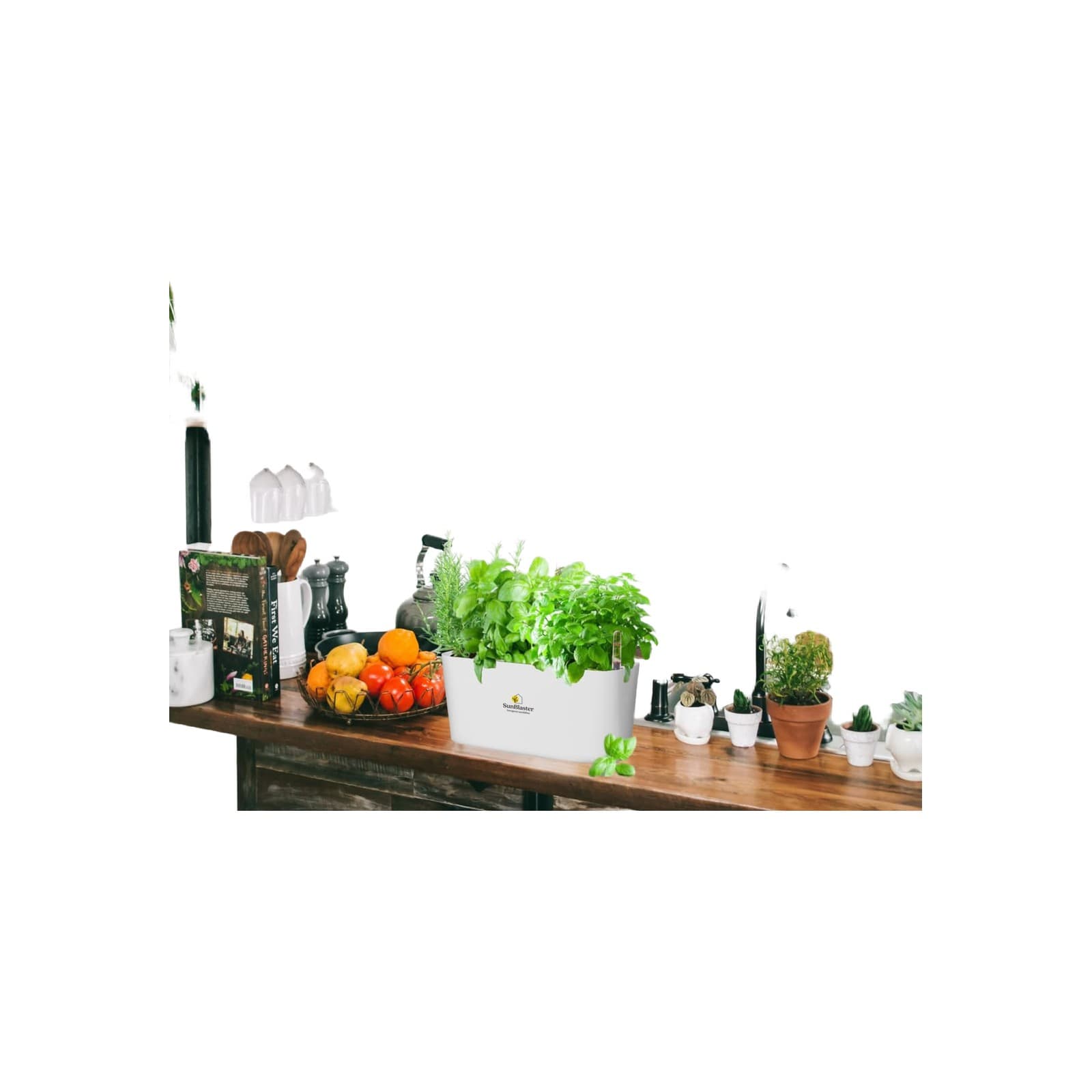 Kitchen Herb Rescue Bundle — product photo 1