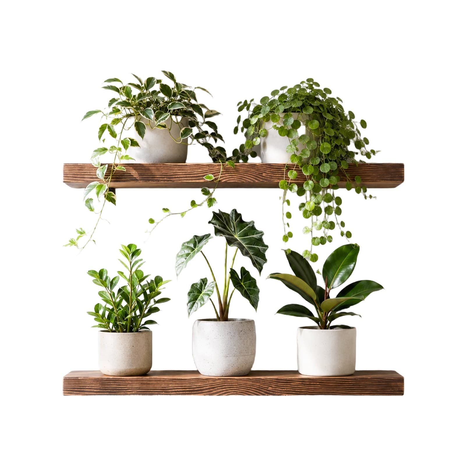 Living Wall Frame Grid