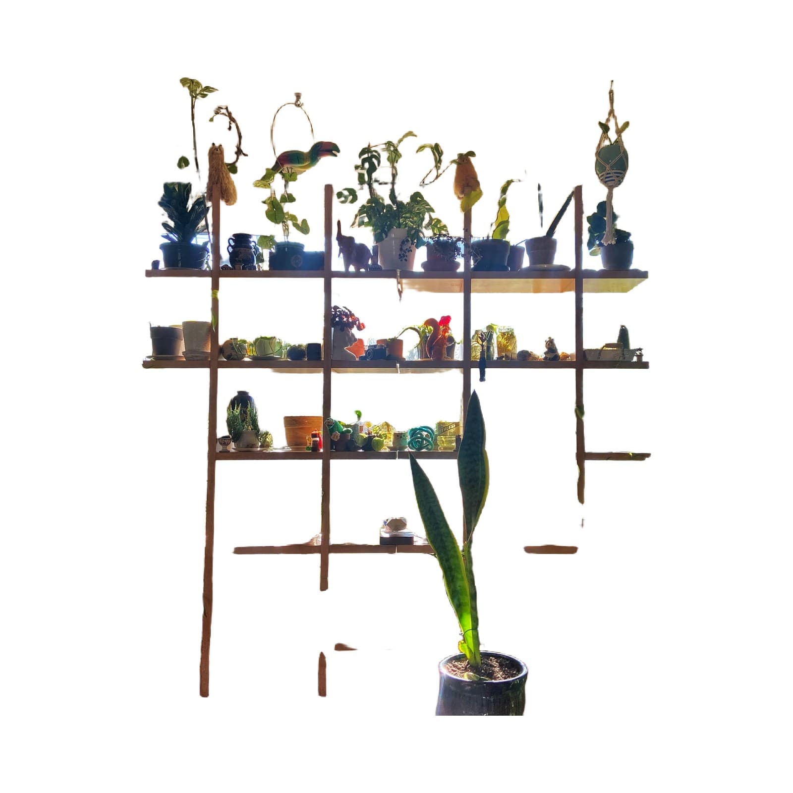 Overwintering Kit (Bugs Stay Outside) — product photo 1