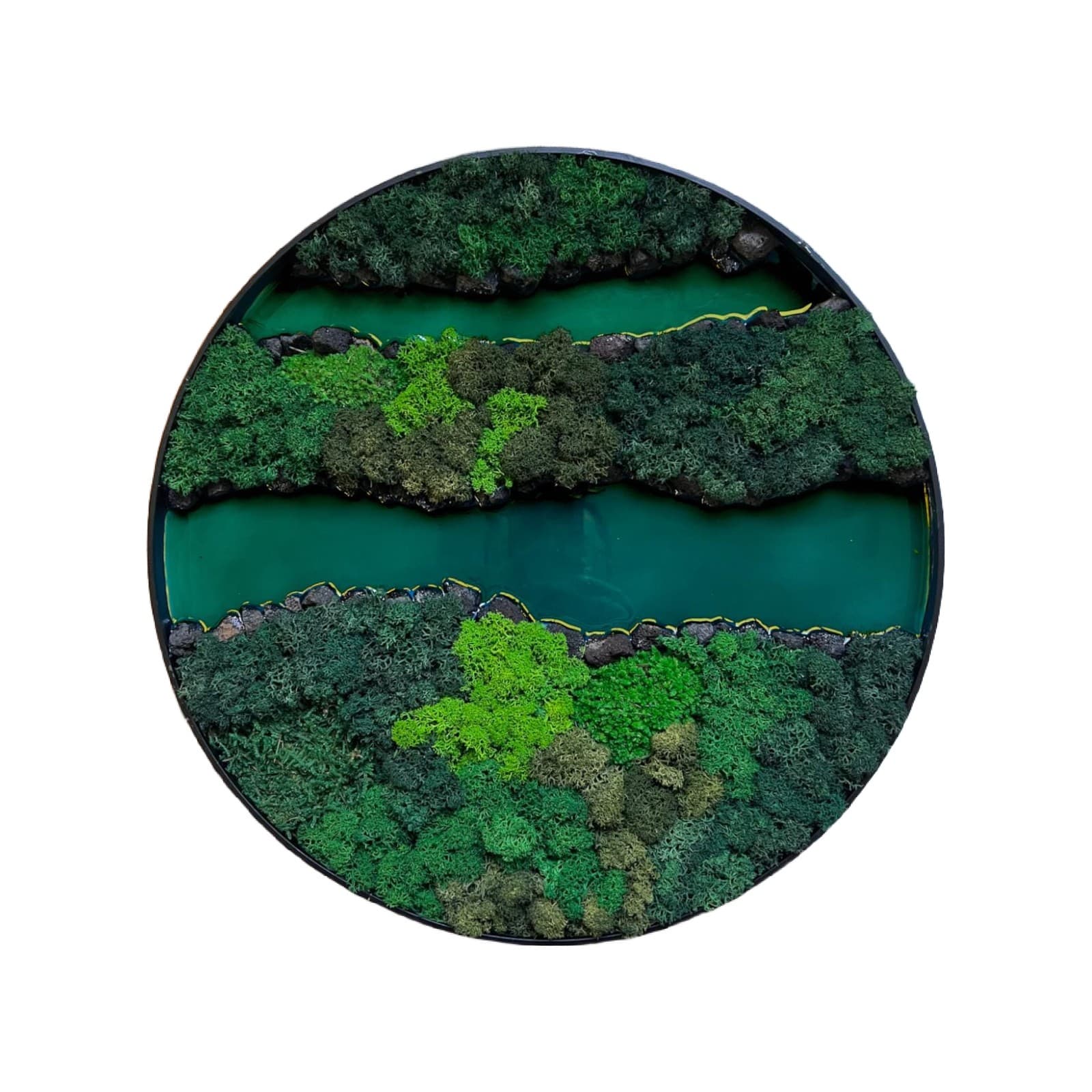 Preserved Moss Wall Frame