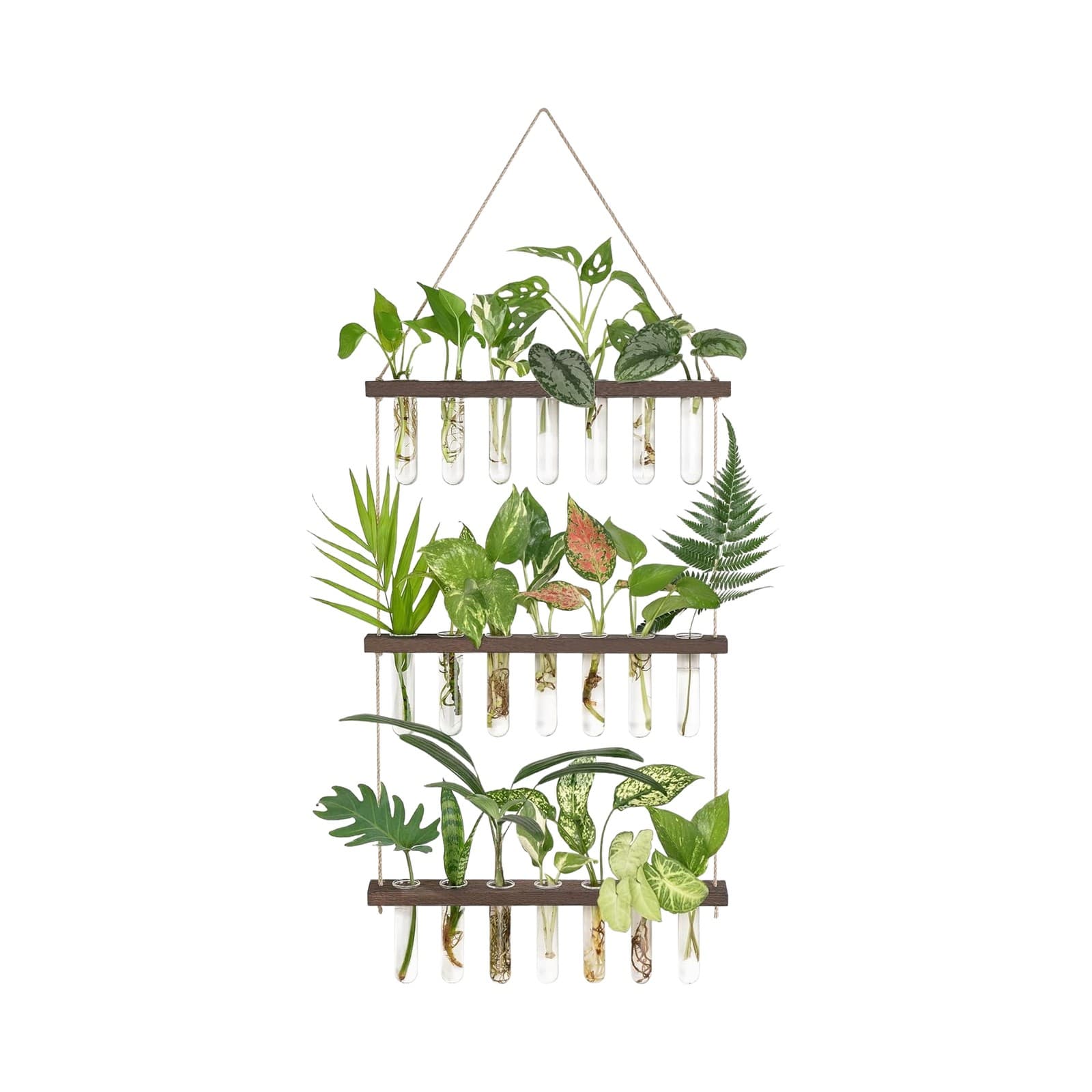 Propagation Gift Station — product photo 1