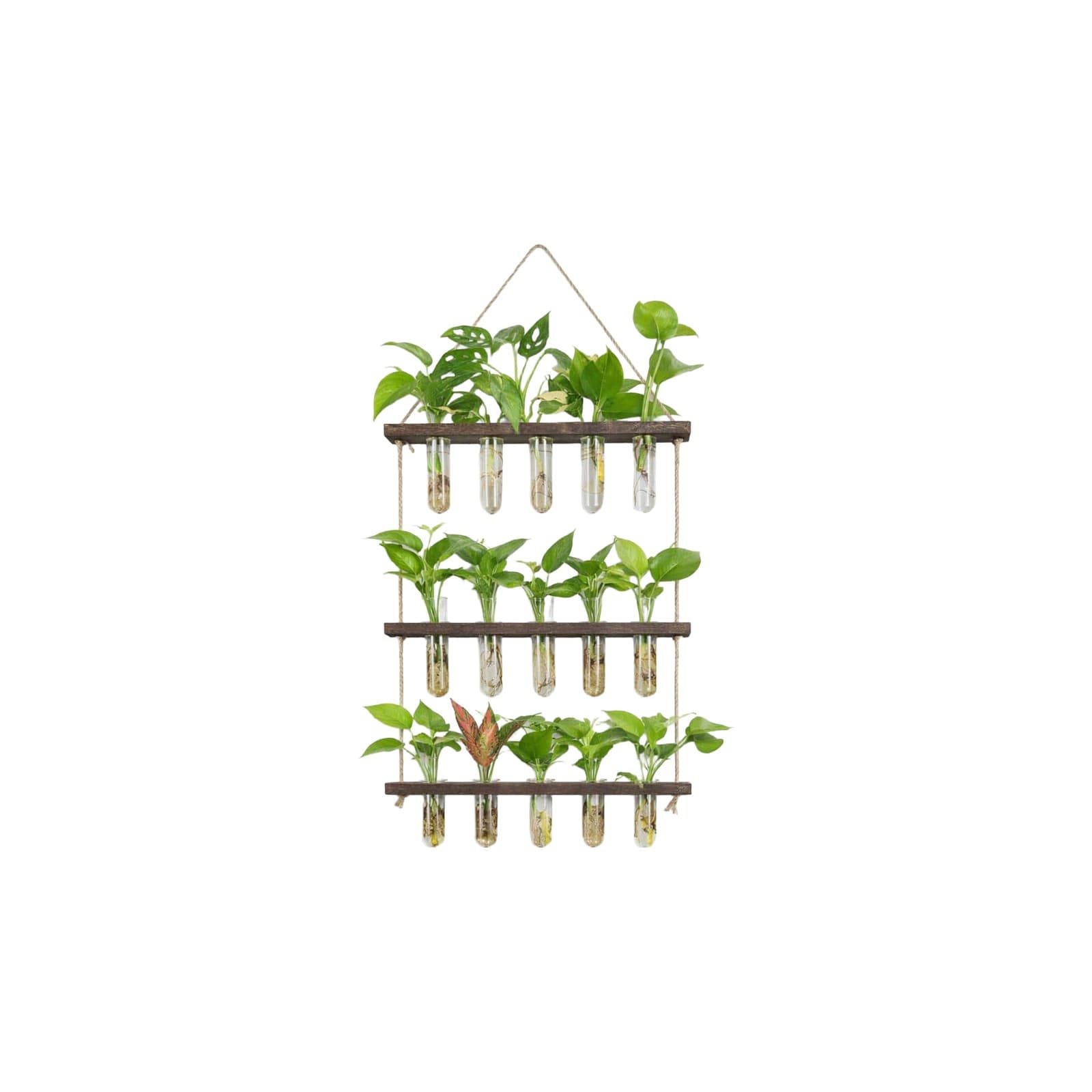 Wall Propagation Station — product photo 1
