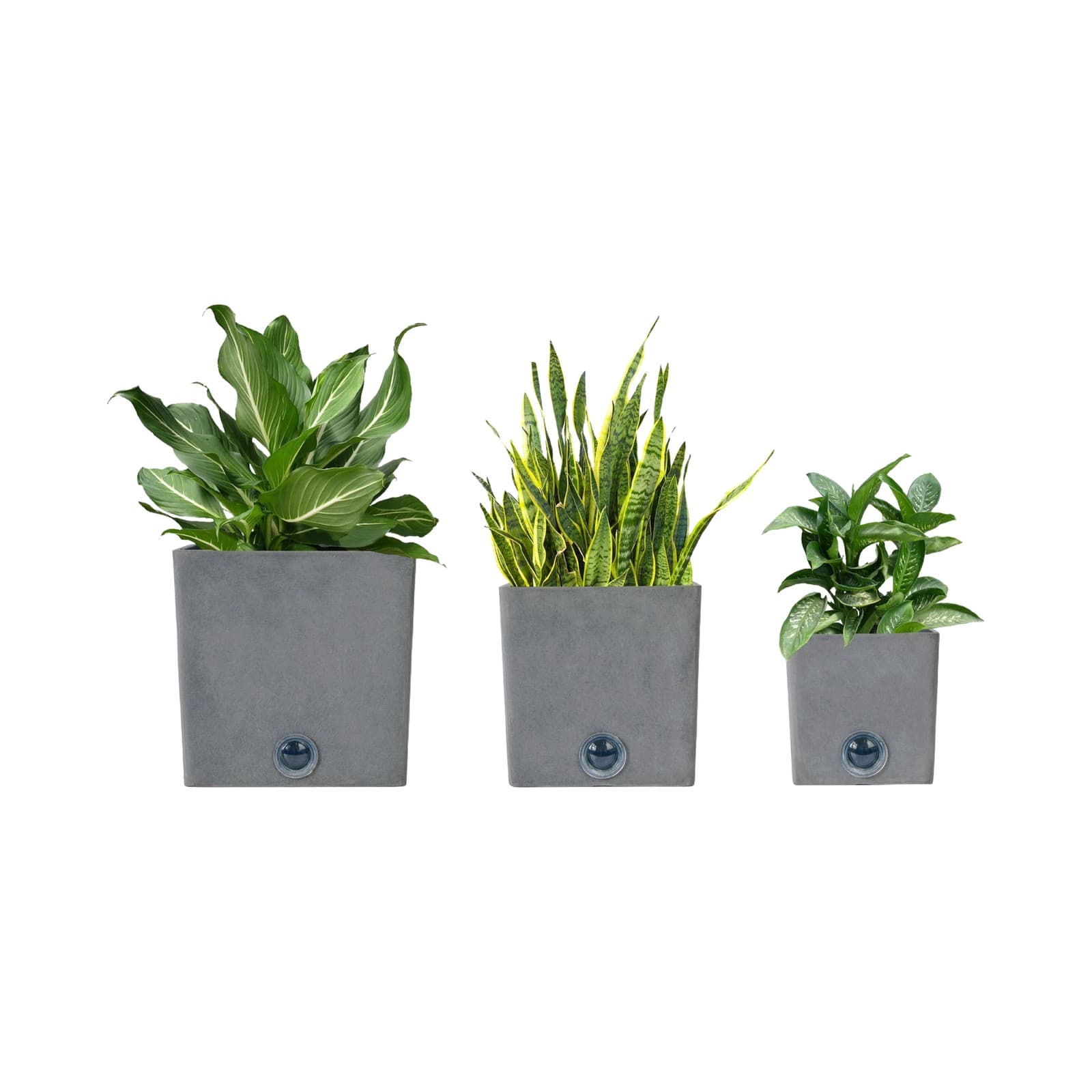Self-Watering Pot Trio