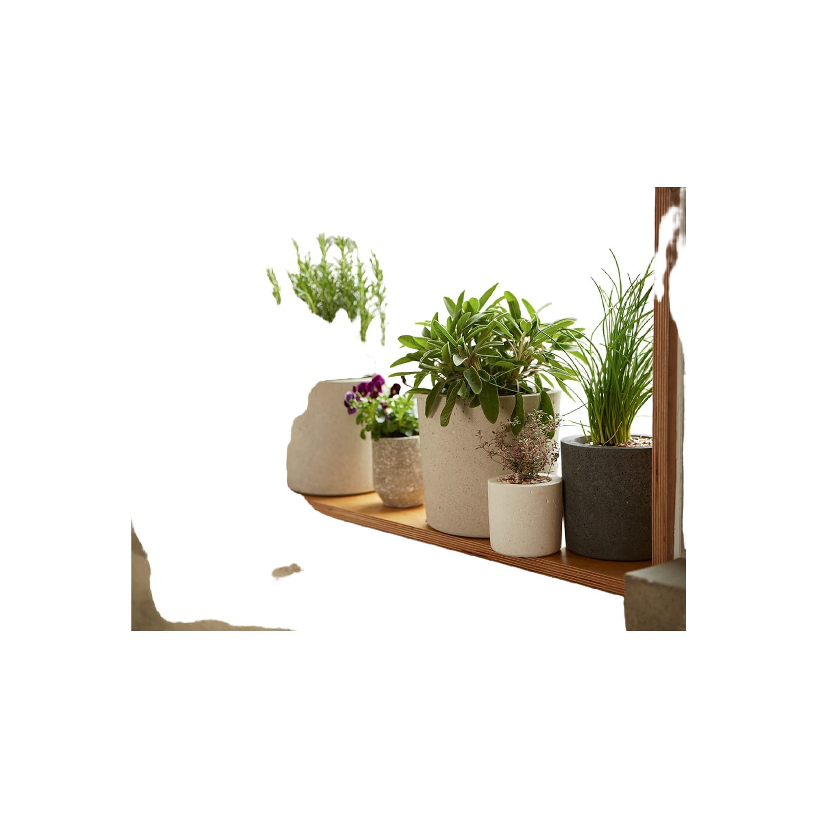 Vertical Herb Starter Kit